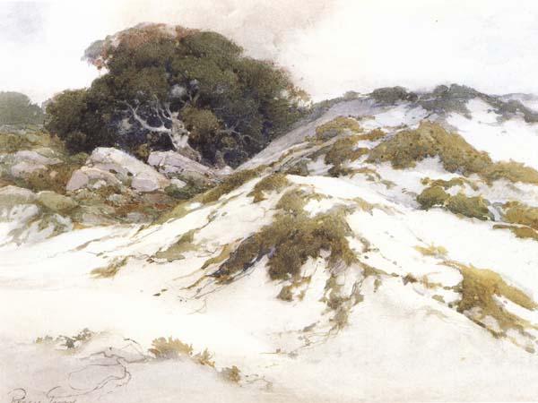 Percy Gray Monterey Sany Dunes (mk42) oil painting image